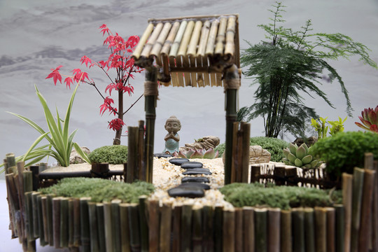 盆景藝術(shù)