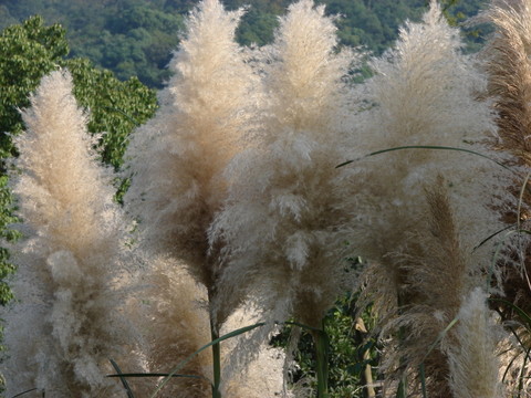 杭州 景區(qū)