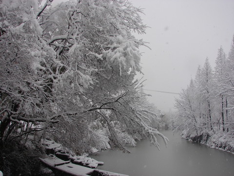 雪景