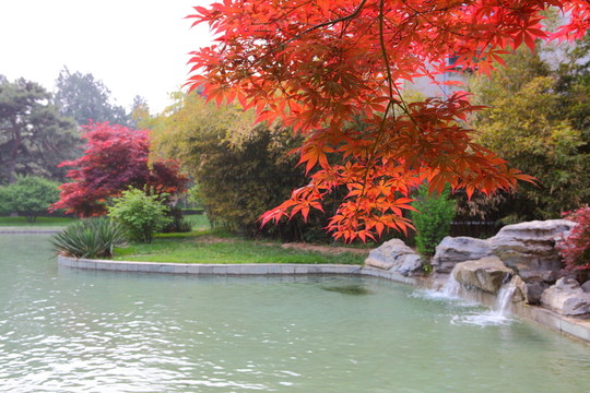 園林景觀