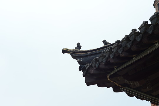 飛檐