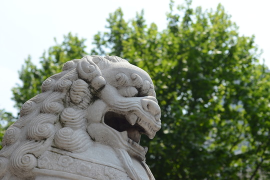 石獅子
