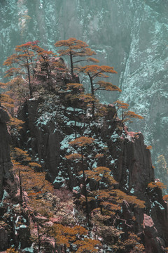 冬韻黃山