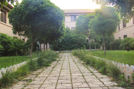 陽光綠樹草地
