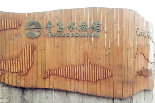 青島水族館
