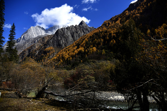 四姑娘山風(fēng)光