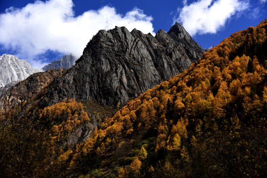 四姑娘山風(fēng)光