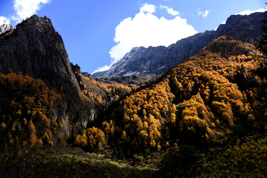 四姑娘山風光