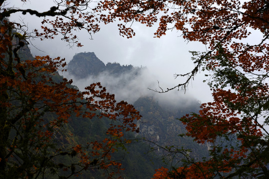 燕子溝
