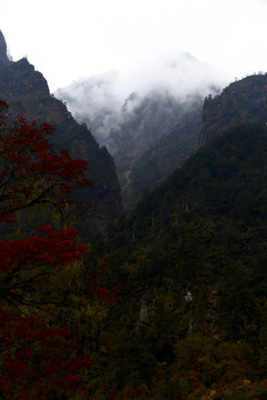 燕子溝