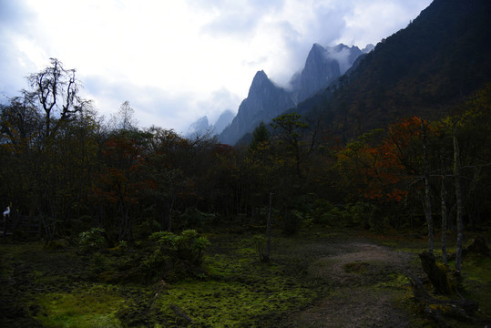 燕子溝