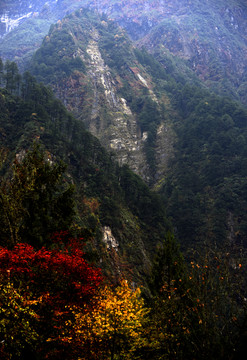 燕子溝