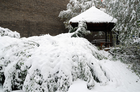 雪中茅草屋