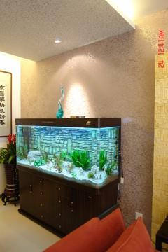 魚(yú)缸