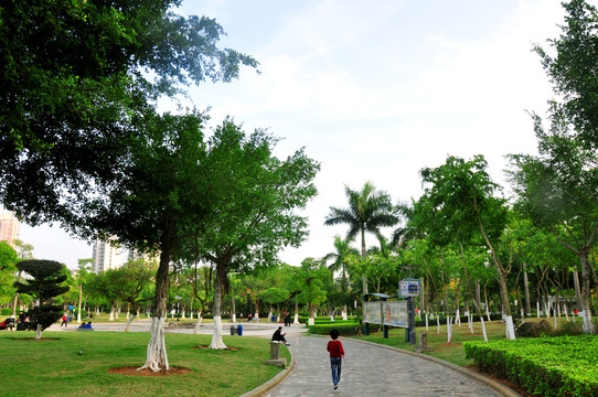公園一角