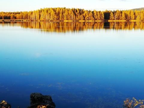 秋季杜鵑湖濕地