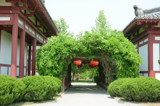 綠色長(zhǎng)廊