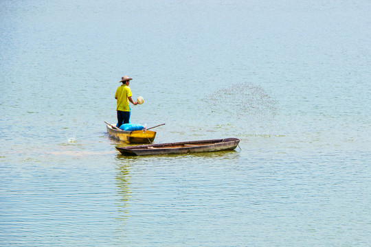魚塘I喂魚