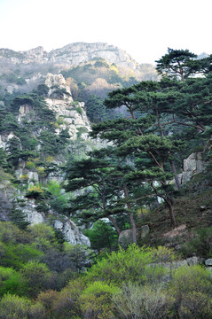 山東泰山風(fēng)光