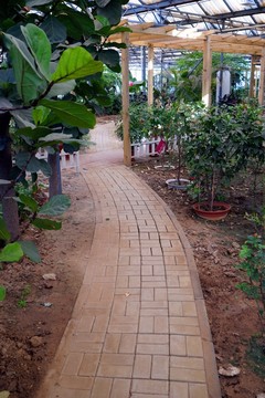 小路