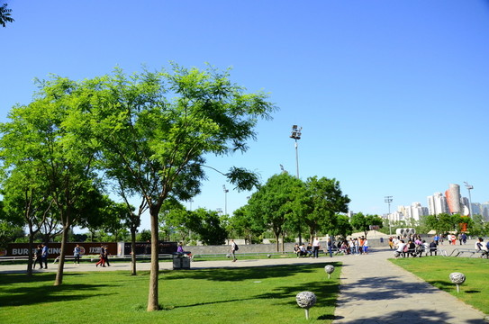 奧林匹克公園