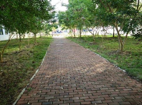 林間小道