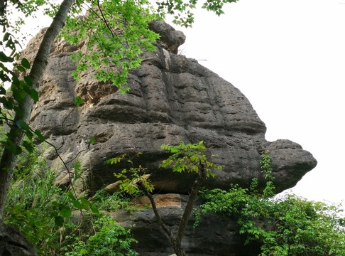 烏龜山