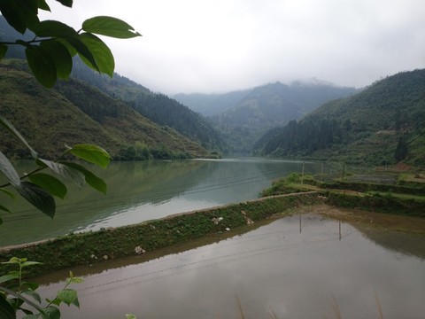 貴州大河