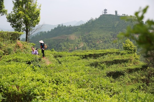 茶山金字塔景區(qū)