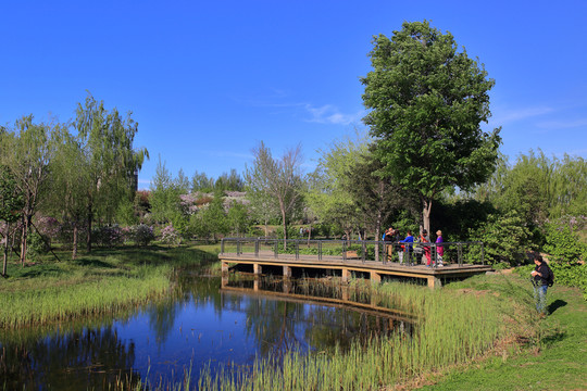 哈爾濱群力丁香公園