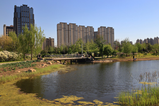哈爾濱群力丁香公園