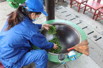 炒茶 龍井茶