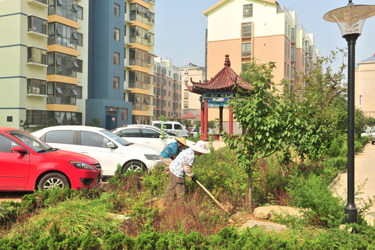 小區(qū)建筑 居民樓
