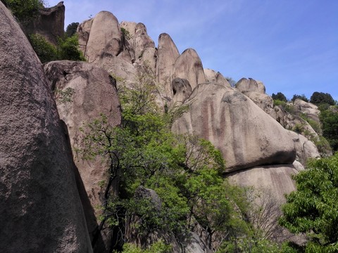 嵖岈山通天神龜景點