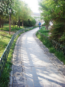 公園小路