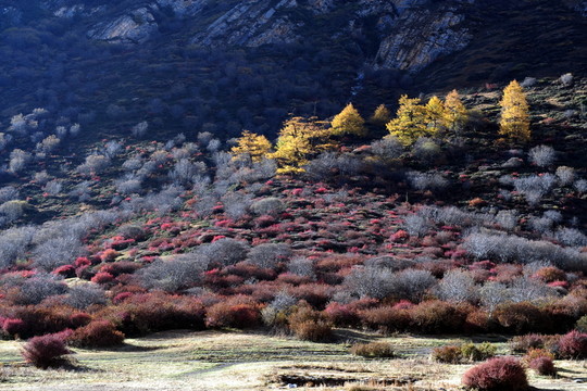 亞丁風(fēng)光