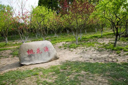 桃園