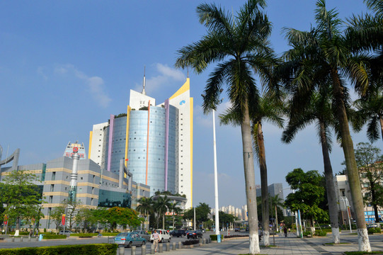 城市