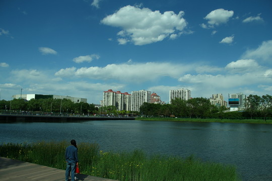 奧林匹克公園