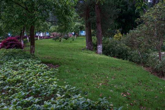 公園