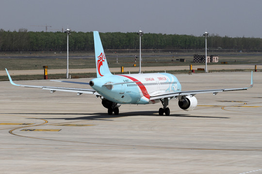長龍航空的飛機(jī)