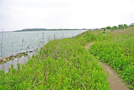 野草地還有河灘