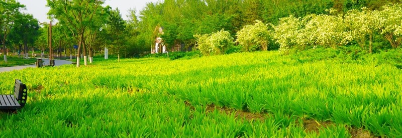 風(fēng)景