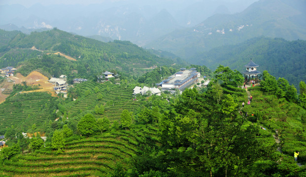 茶山金字塔景區(qū)
