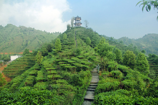 茶山金字塔景區(qū)