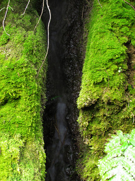 山泉