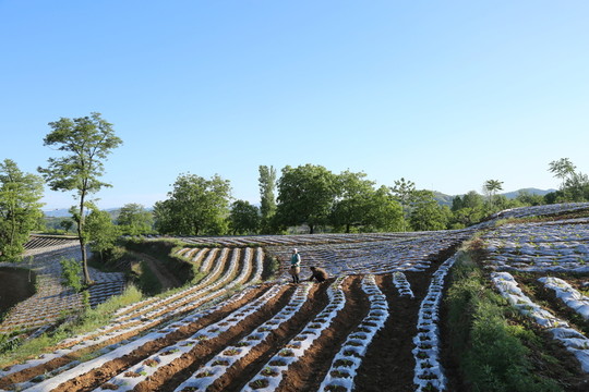 田園風(fēng)光