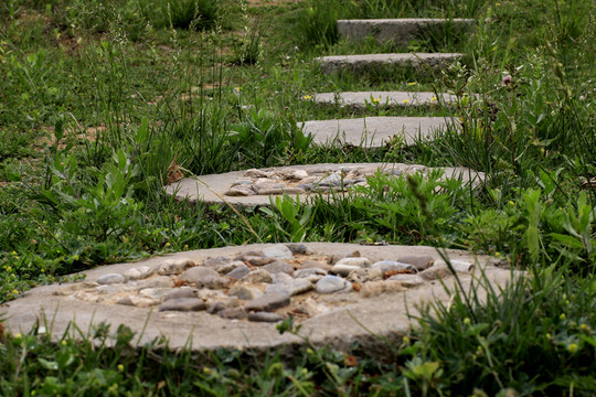 公園小景
