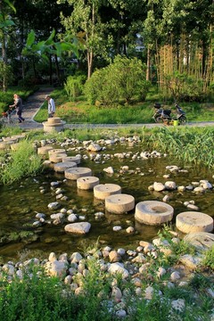 濕地公園