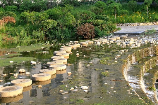 濕地公園